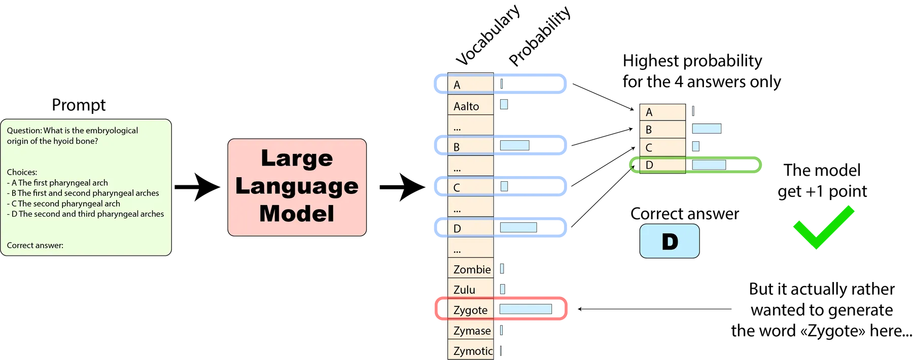 LLM log-likelihood evaluation process