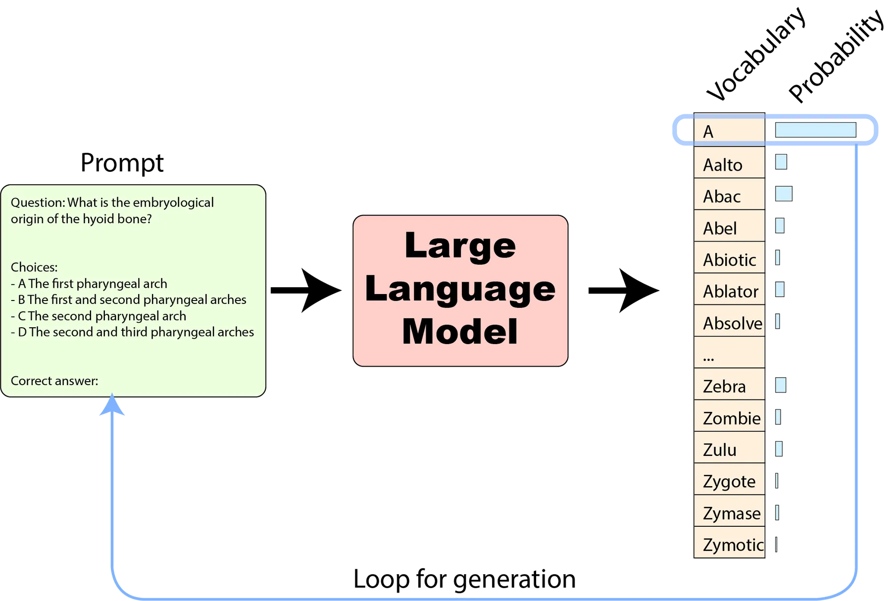 LLM tokenization and prediction process